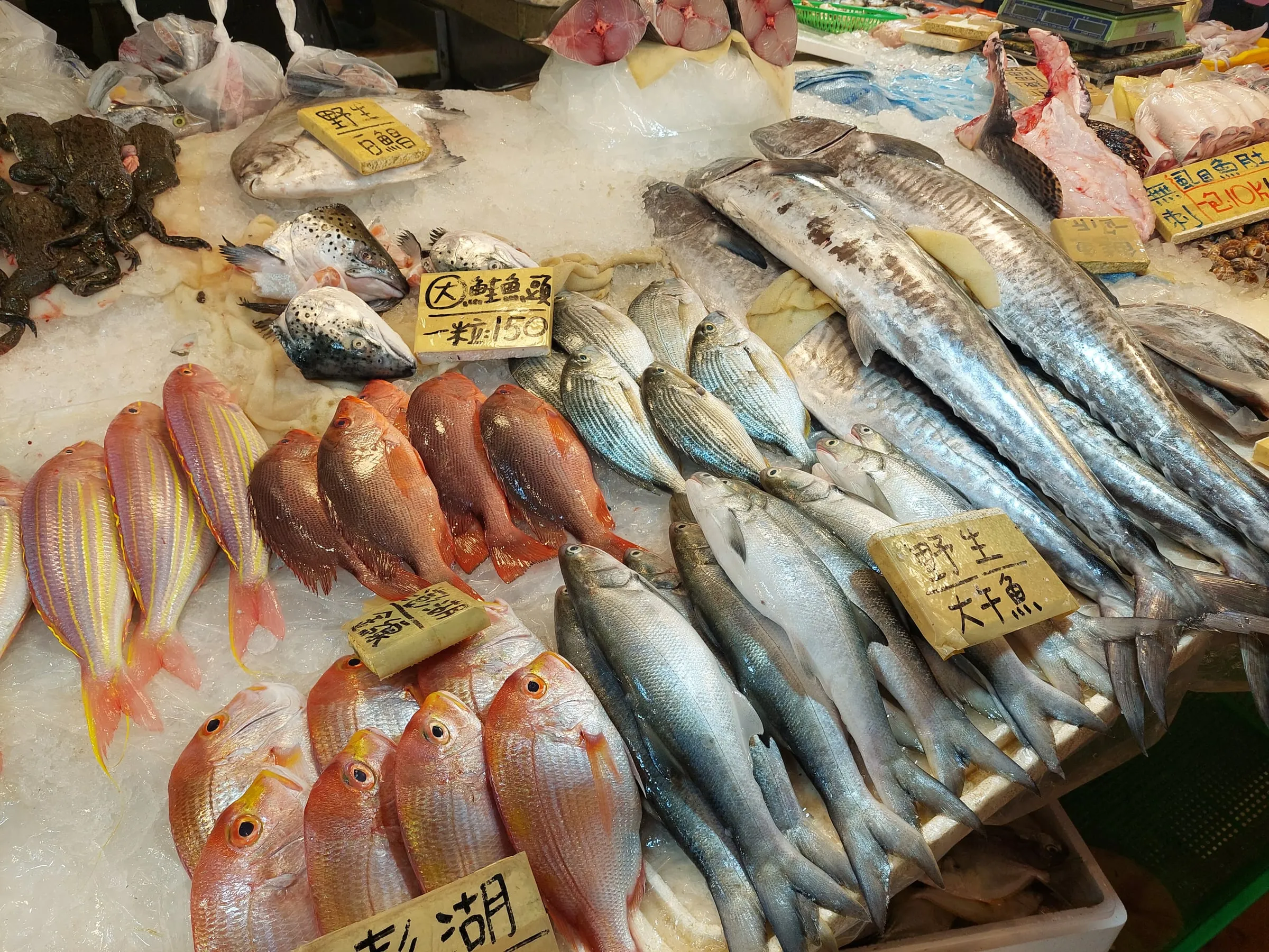 Fresh fish laid out on ice at a market stall, with price tags