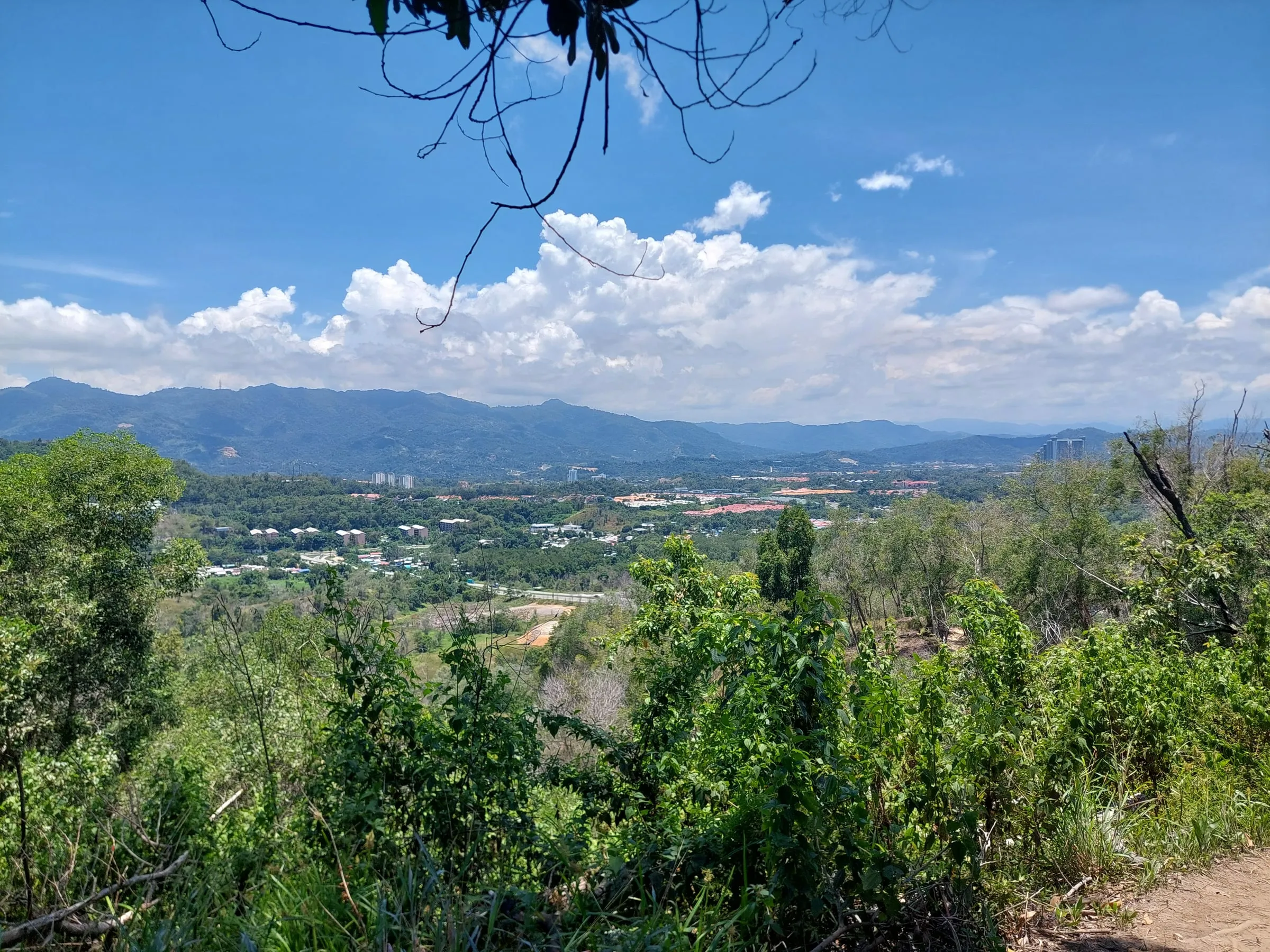 Looking through trees toward a distant town and mountains under a blue sky