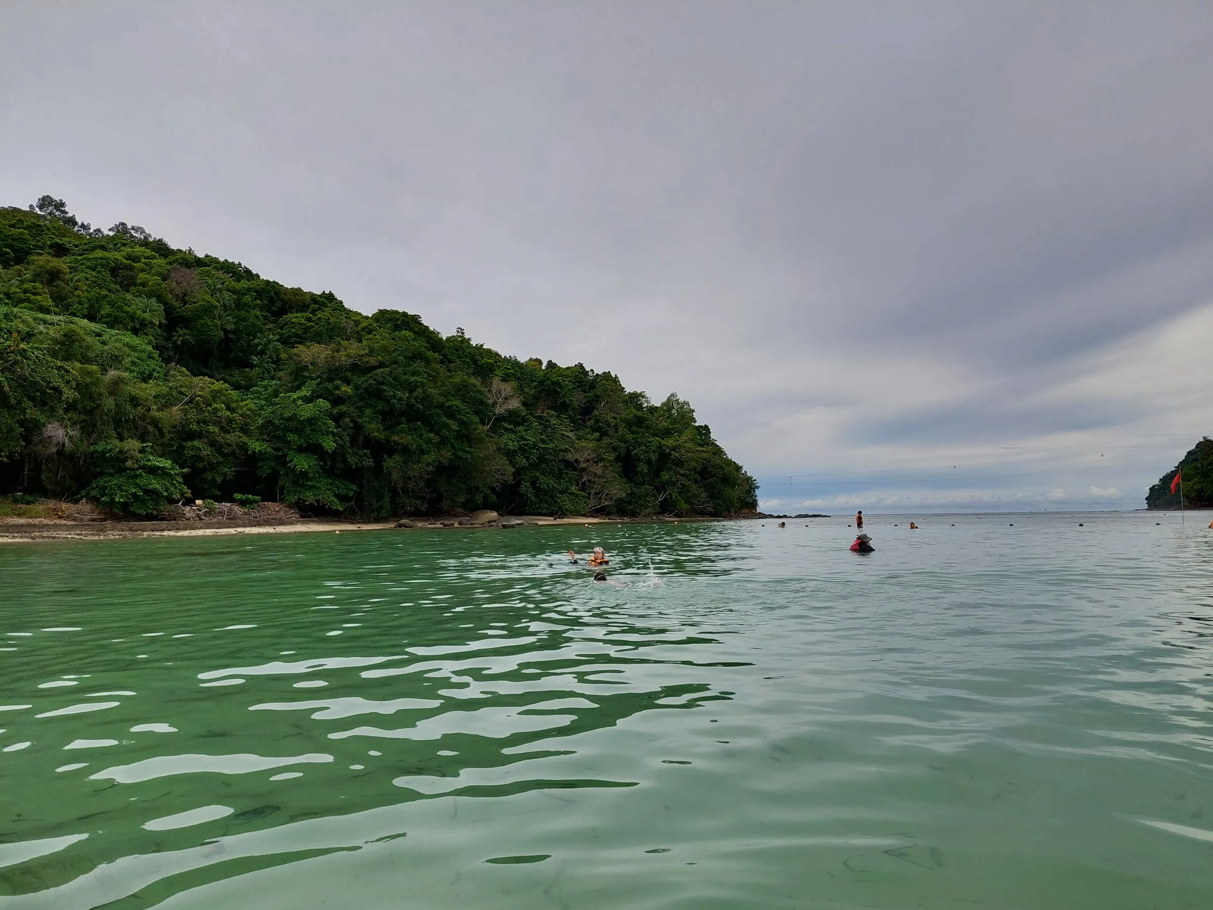 Looking across green water toward a forested island