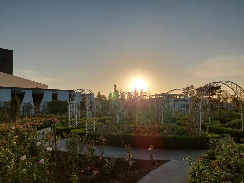 The setting sun shining from behind a garden building, with white arches and a path in front