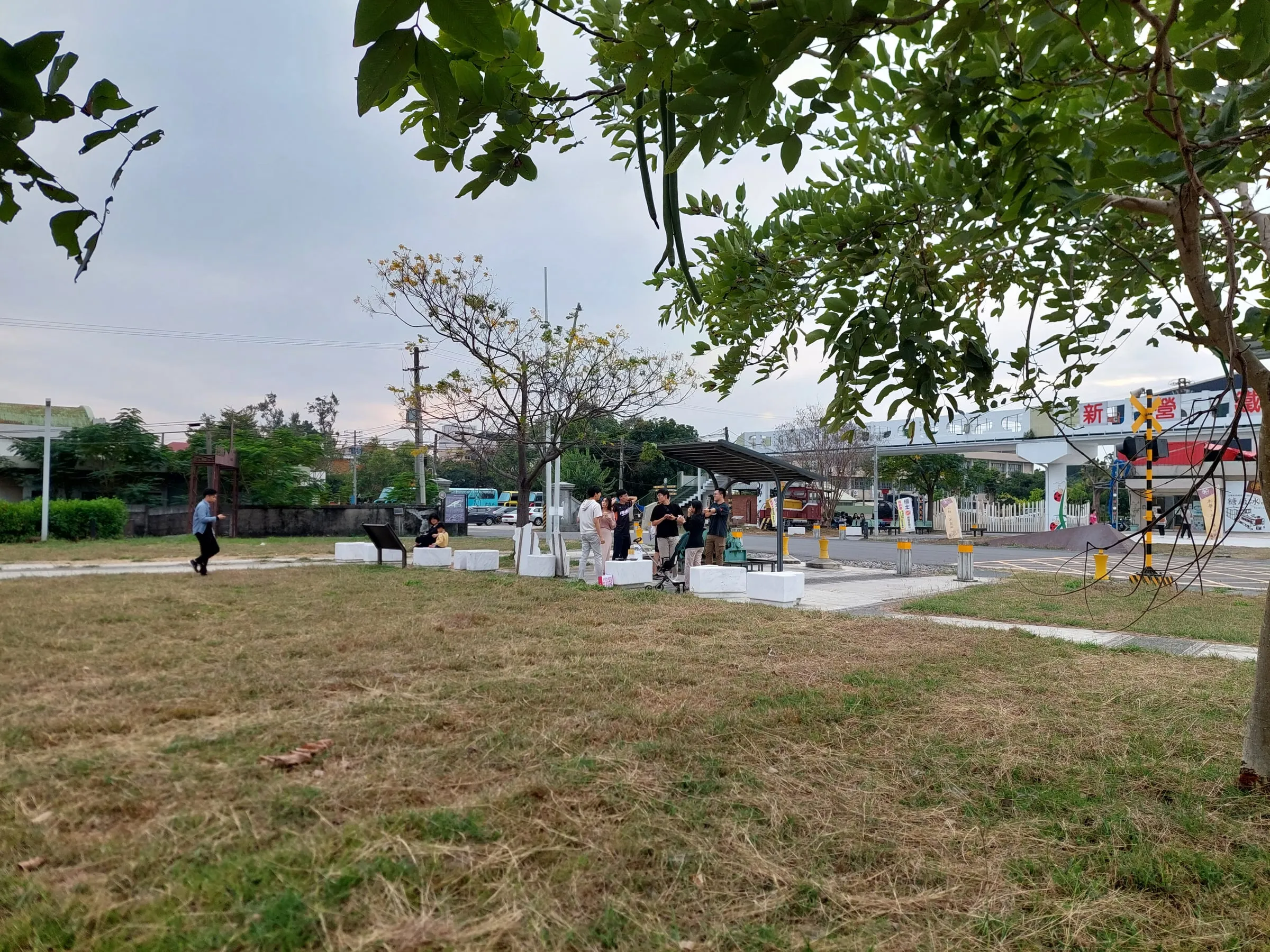 People strolling across a park lawn, with trees and a street in the background