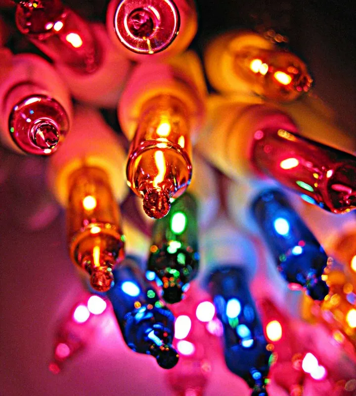 Macro close-up of a cluster of glowing pink, orange, blue, and green miniature light bulbs